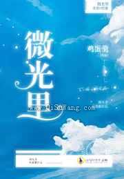 微光里小说