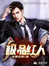 人到中年：极品红人小说