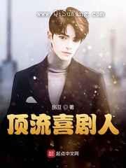 顶流喜剧人小说
