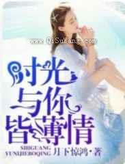 你与时光皆薄情小说