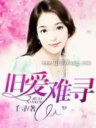 旧爱难寻小说
