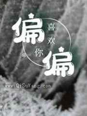 偏偏喜欢你小说