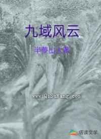 九域风云小说