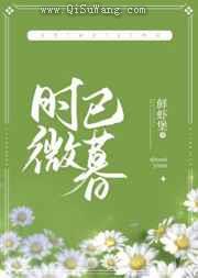 时微已暮小说