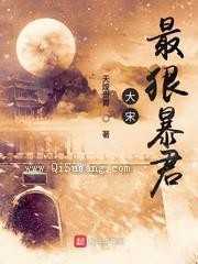 大宋最狠暴君小说