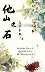 他山之石小说