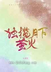 独揽月下萤火小说