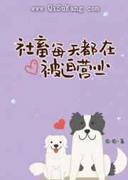 社畜每天都在被迫营业小说