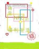 转生NPC的福利生活误小说