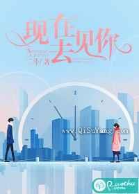 现在去见你小说