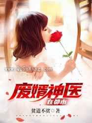 废婿神医在都市小说