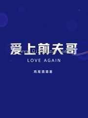 爱上前夫哥小说