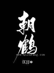 朝鹤小说