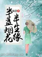半盏烟花半生缘小说