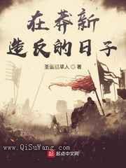 在莽新造反的日子小说