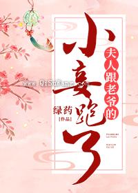 夫人跟老爷的小妾跑了小说