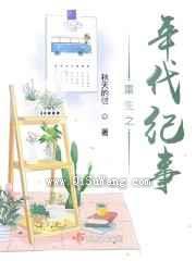 重生之年代纪事小说