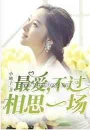 最爱，不过相思一场小说