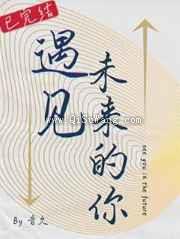 遇见未来的你小说