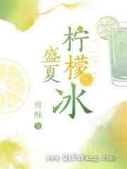盛夏柠檬冰小说