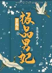 穿越之极品男妃小说