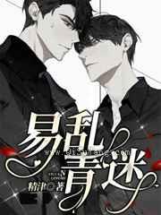 易乱情迷小说