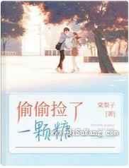 偷偷捡了一颗糖小说