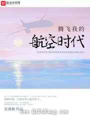 腾飞我的航空时代小说