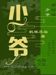 少爷小说