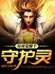 每周觉醒个守护灵小说