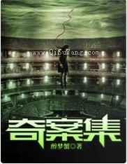 奇案集小说
