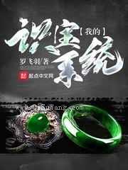 我的识宝系统小说