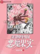 美漫里的恶魔果实小说