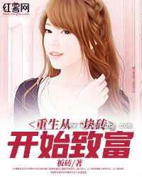 重生从一块砖开始致富小说