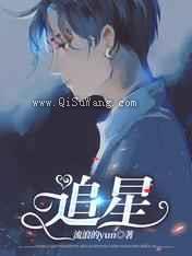 追星小说