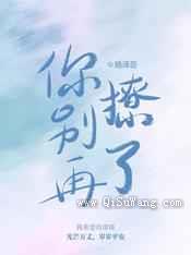 你别再撩了小说