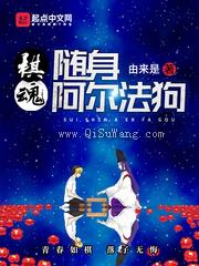 棋魂：随身阿尔法狗小说