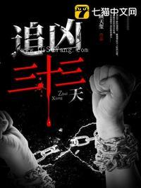 追凶三十三天小说