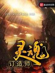 灵魂订造师小说