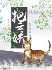 把云娇小说