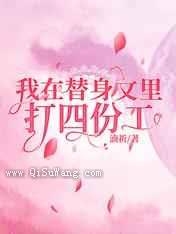 我在替身文里打四份工小说