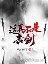 这真不是击剑小说