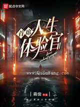 首席人生体验官小说