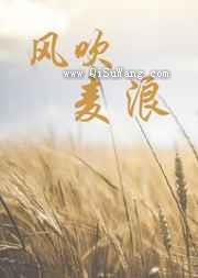 风吹麦浪小说