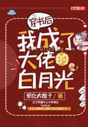 穿书后我成了大佬的白月光小说