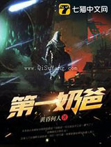 第一奶爸小说