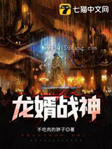 龙婿战神小说
