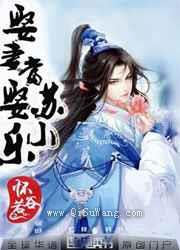 娶妻当娶苏小乐小说