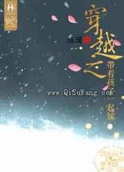 穿越之带着孩子一起嫁小说