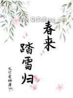 春来踏雪归小说